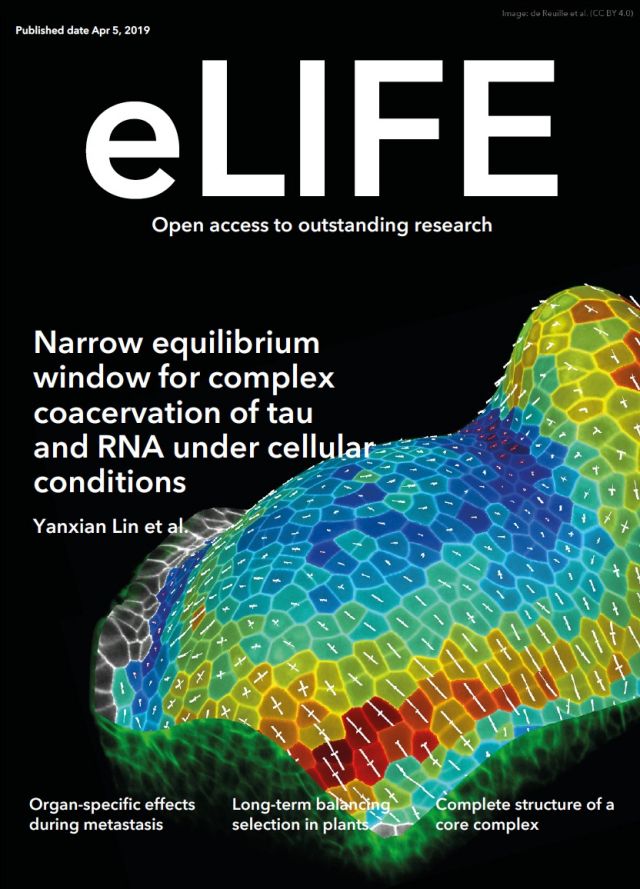 Yanxian's Paper on Tau-RNA Complex Highlighted on eLife