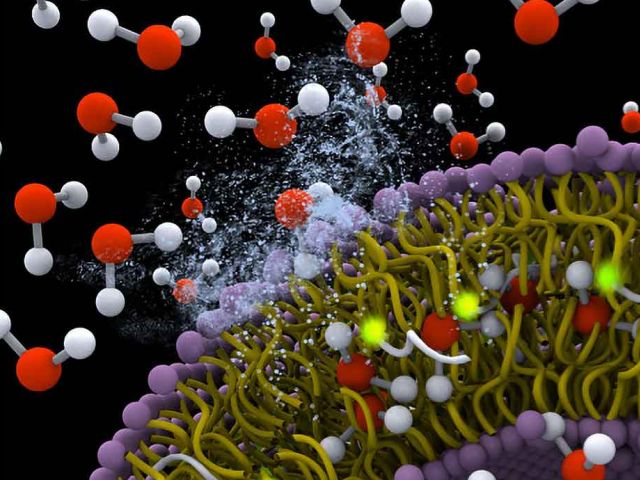 Role of Hydration Water on Molecular Recognition