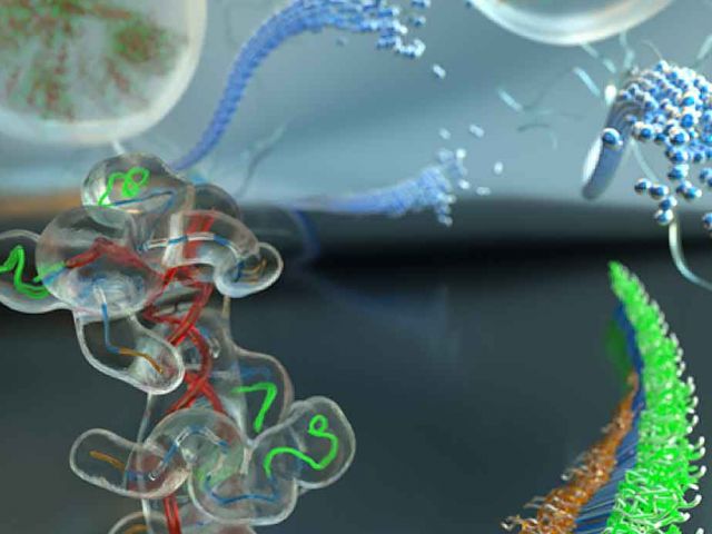 Engineering Protein Interaction and Assembly